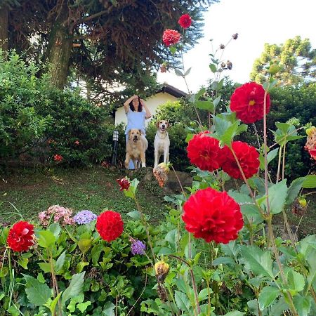 Casa Das Dalias モンテ・ヴェルデ エクステリア 写真