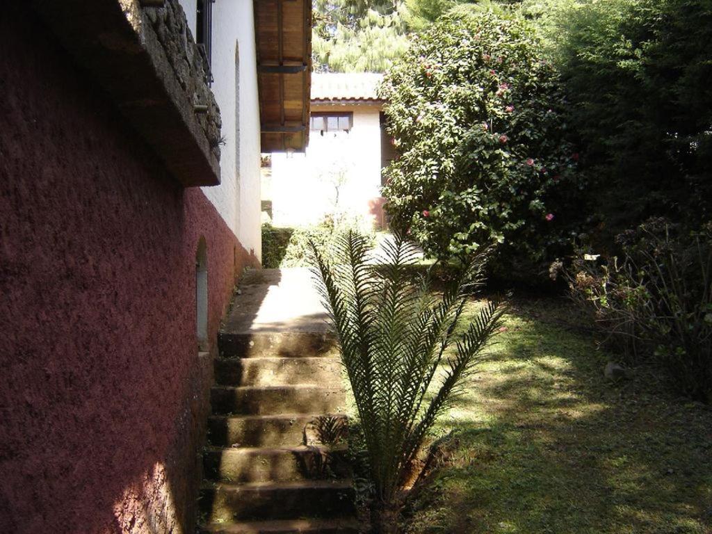 Casa Das Dalias モンテ・ヴェルデ エクステリア 写真